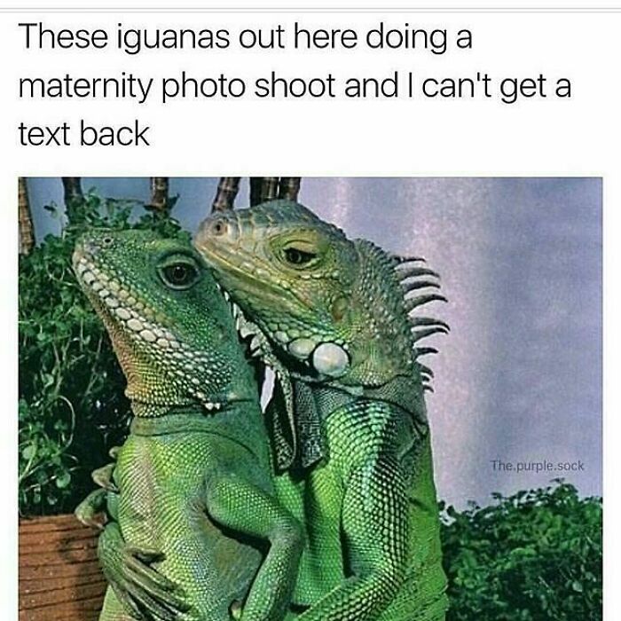 Nobody Puts Baby In A Corner
.
.
. .
.
#iusedtofeelsodevastated#attimesithoughtwednevermakeit#andnowweonourwaytogreatness#andallitevertookwaspatience #joeybadass #funny #meme #memes #single #singlelife #singlememes #relationaship#text #iguanas #funnyanimal #memesdaily #memestagram #memelife