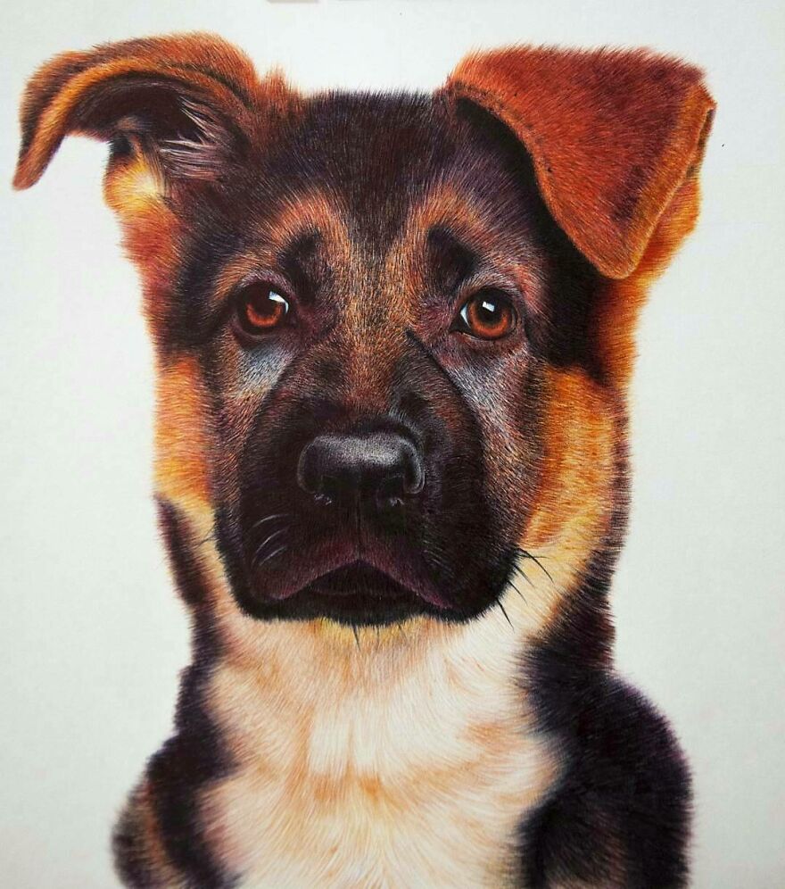 Realistic-Ballpoint-Pen-Drawings-Mostafa-Khodeir