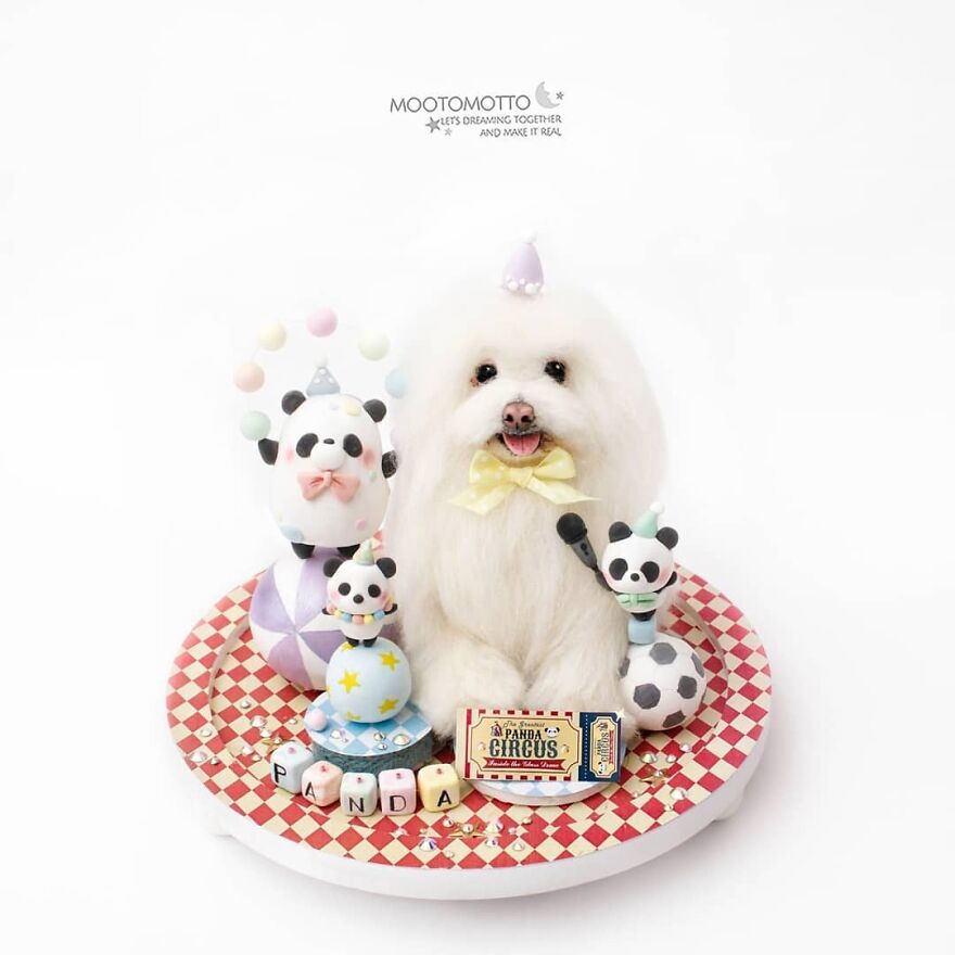 Behold!
.........................................................
the Greatest Panda Show On Earth Is In Town !
♦️🐼♦️🐼♦️🐼♦️🐼♦️🐼♦️🐼♦️🐼♦️
.........................................................
featuring :
pandas Juggling & The Singing Dog 'Panda'♦️🐼♦️
.
fat Panda Shape Inspired By : @pierrot_circus ❤️😘
.
#reallookseriesmootomotto #panda #maltese #circus