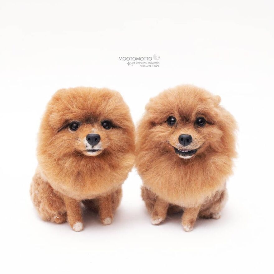 When I Asked @irenenath The Owner Of This 2 Dogs, Why You Didn't Get More Dogs? Their Mommy Said They Are To Jealous About Anything, So Two Is Enough For Me☺️
.
how About You ? How Many Pets Do You Have ?
tag Your Friends Too And Ask Them How Many Pets They Have! 😁
.
#reallookseriesmootomotto
#mootomotto #pomeranian #needlefelt #textileart