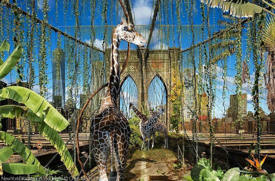 Artist Shows When Famous Cities Meet The End Of Humanity