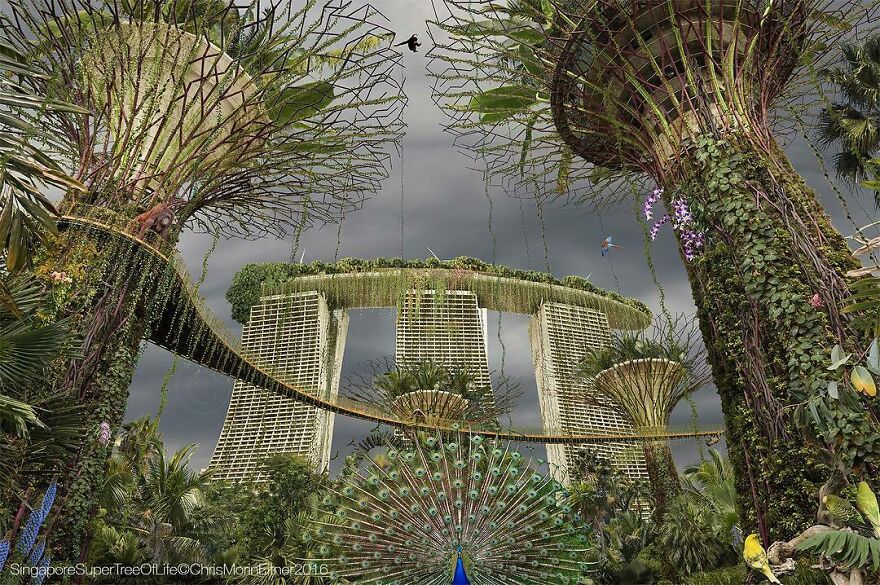 Artist Shows When Famous Cities Meet The End Of Humanity