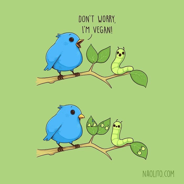 Don't Worry I'm Vegan! 🐛 Tag Your Vegan Friends So They Think Of The Poor Leaves 😝
#vegan #funny #cute #kawaii #aww #awesome #awww #bird #comicstrips #comic #art #artprint #illustration #illustration #indieartists #indieart #original #originalgift #humorous #humour #creative #relatable #cuteness