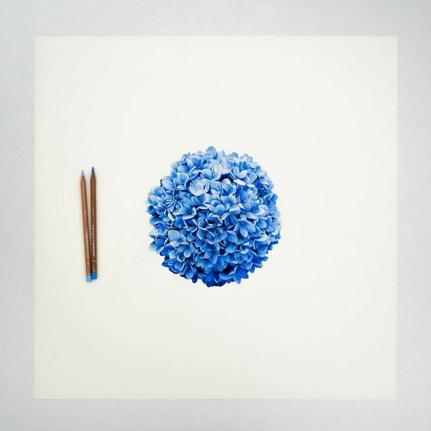 Hyperrealistic-Colored-Pencils-Drawings-Part-2-Alessandro-Paglia