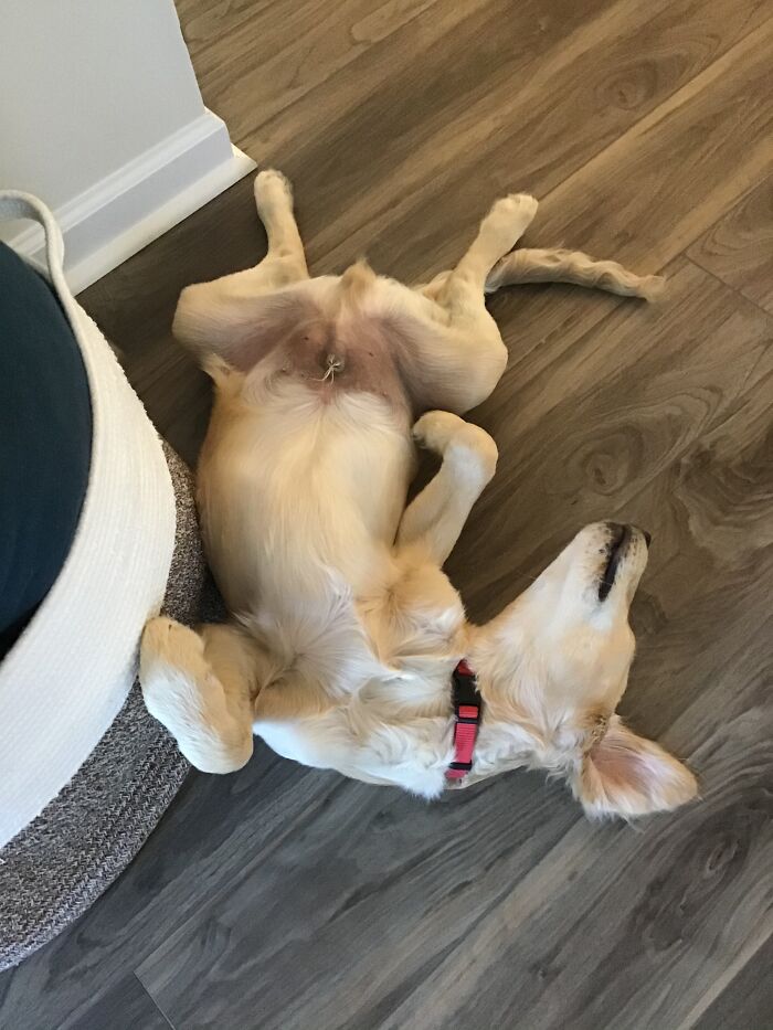 No Mom! It Can’t Be Monday!