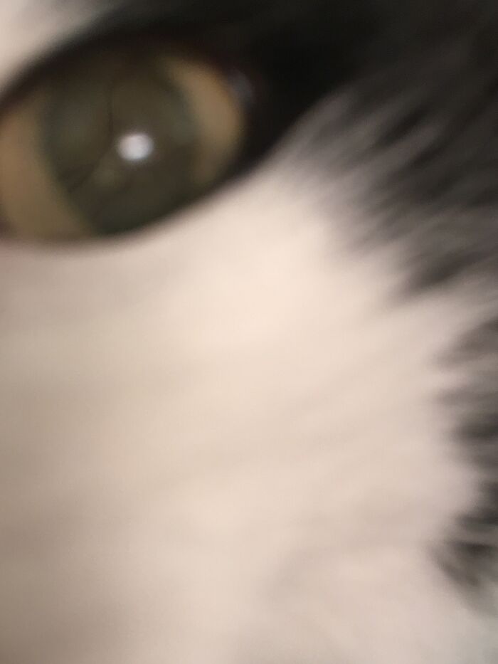 Nelly Got A Little Excited About Having Her Photo Taken