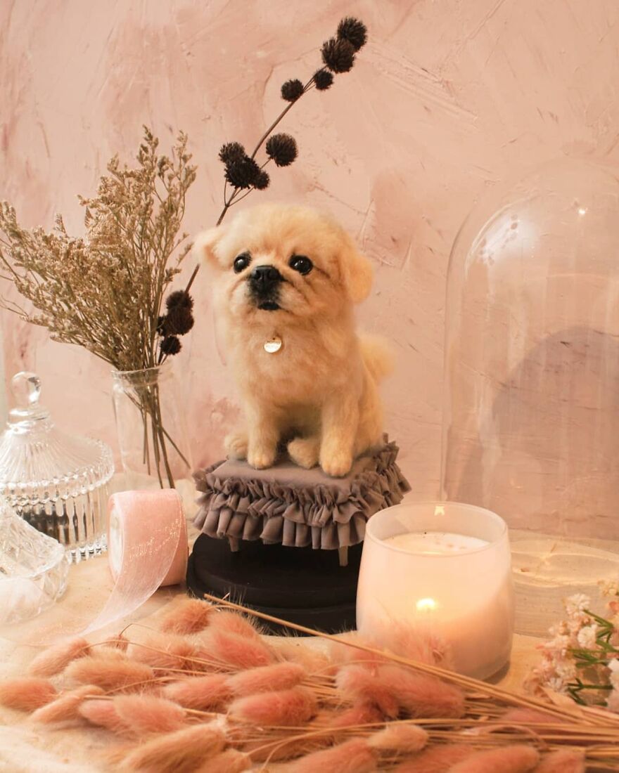 Sweetest , Loyal Best Friend 🐕☺️❤️
.
#reallookseriesmootomotto #pekingese #mminsidetheglass