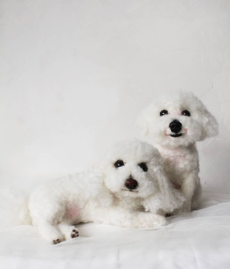 Twinny😍
#reallookseriesmootomotto #bichonfrise #bichon #petoftheday