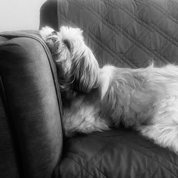 Right Angle For Resting ...