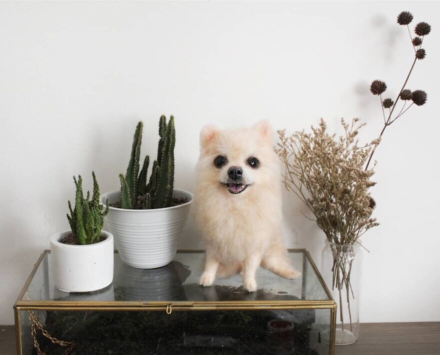 One Sunday Afternoon 🌤️
.
#reallookseriesmootomotto #pomeranian #needlefelt