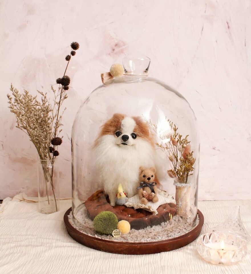 Castle, I Love His Character!
super Calm And Cool Boy, Right? @nicole.ttee 😁😍❤️
.
@cb_thepom
.
#reallookseriesmootomotto #mminsidetheglass #needlefelt #pomeranian