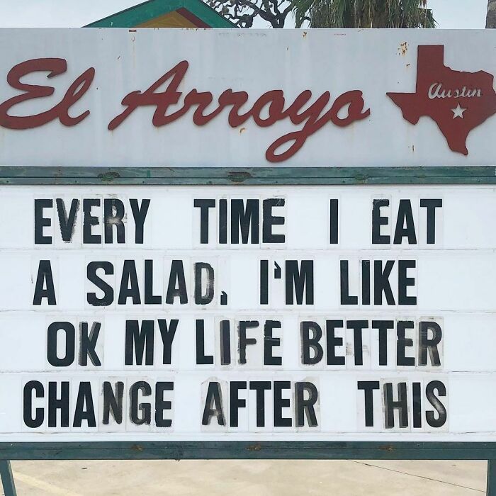 This Kale Was Supposed To Fix My Marriage.