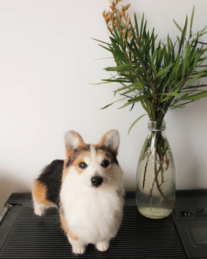 The Best Companion Ever ☺️🖤
agree?
.
#reallookseriesmootomotto #needlefelt #corgi #corgisofinstagram