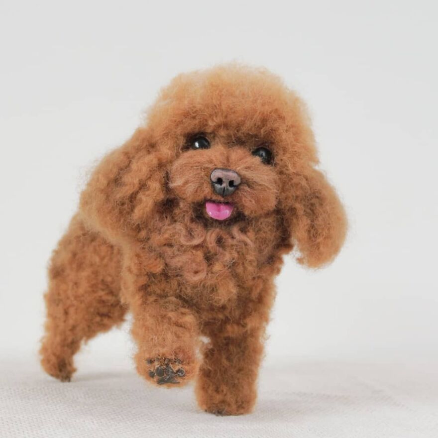 Oh Hi, Happy Weekend Paw Fwens🐕 ☺️
.
#reallookseriesmootomotto #poodle
.
@olaf.caramel
@glennjulifer
@v.sevillaa