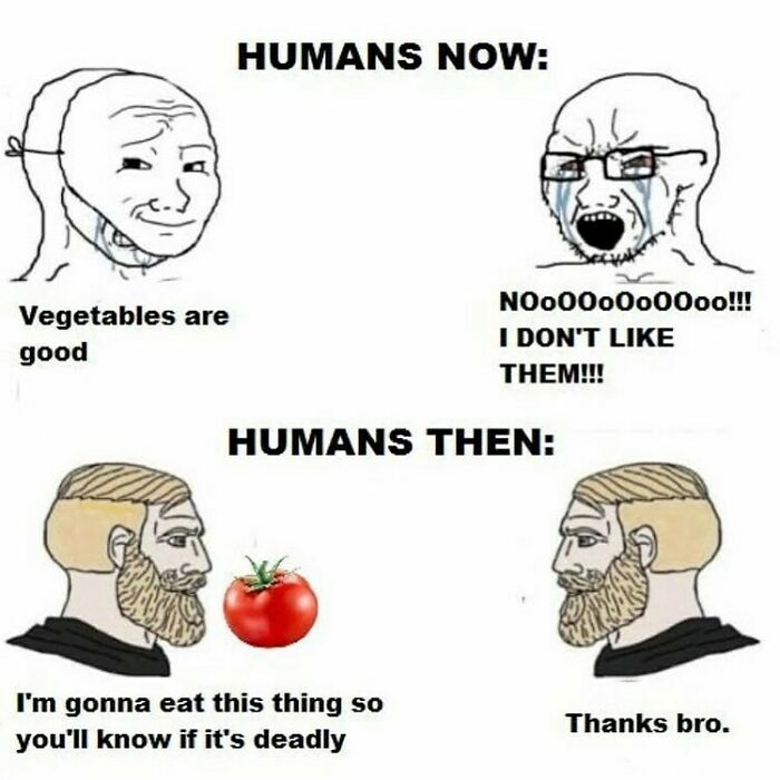 🔥👉 S W I P E 👉🔥to Learn The History Behind The Meme
•
•
•
•
👉 Follow @educational.history.memes For More Memes With Informative Explanations!