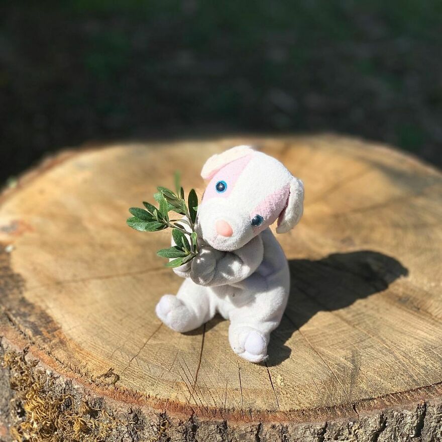 Celebrating Palm Sunday