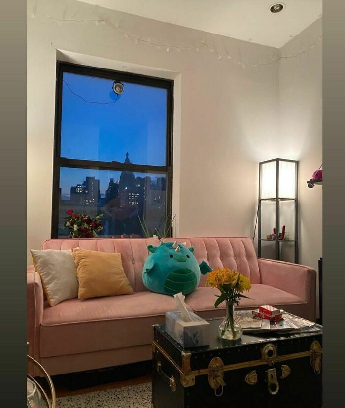 What A Glow Up For This Pink Beauty. Congrats On Your Stooping Success Emmfinch