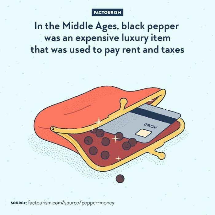 In The Middle Ages, Black Pepper Was An Expensive Luxury Item That Was Used To Pay Rent And Taxes⁠
⁠
pepper Is A Spice From South India, Which Has Long Been Used As A Medicinal Plant And As A Cooking Ingredient. It Was Already Traded And Used In Europe During Antiquity. By The Middle Ages However, The Rarity Of The Spice On The Continent Made It Very Expensive. Later, These Difficulties To Import Black Pepper And Other Spices Made Christopher Columbus Sail West To Access India Bypassing The Ottoman Empire. When His Expedition Arrived In The Americas Instead, They Naturally Didn’t Find Black Pepper There. But They Found Out About Chilli Peppers Instead, Which Was Brought Back And Eventually Found Its Way To India, Where It Became A Cornerstone Of The Local Cuisine.⁠