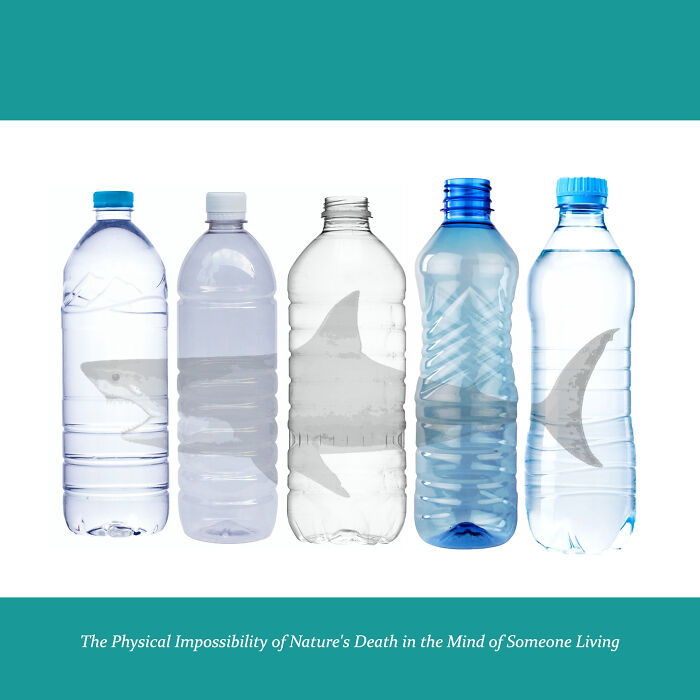 Damien Hirst Tribute