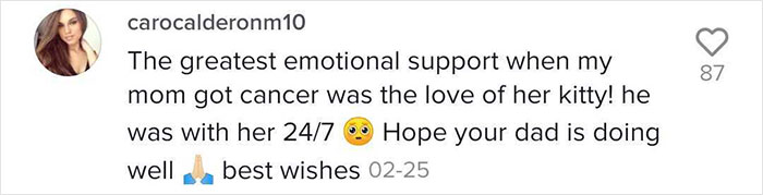 Cat Refuses To Leave The Side Of His Grandpa Who's Fighting Cancer