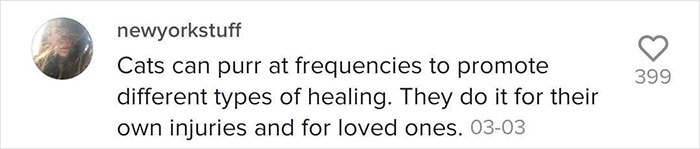 Cat Refuses To Leave The Side Of His Grandpa Who's Fighting Cancer