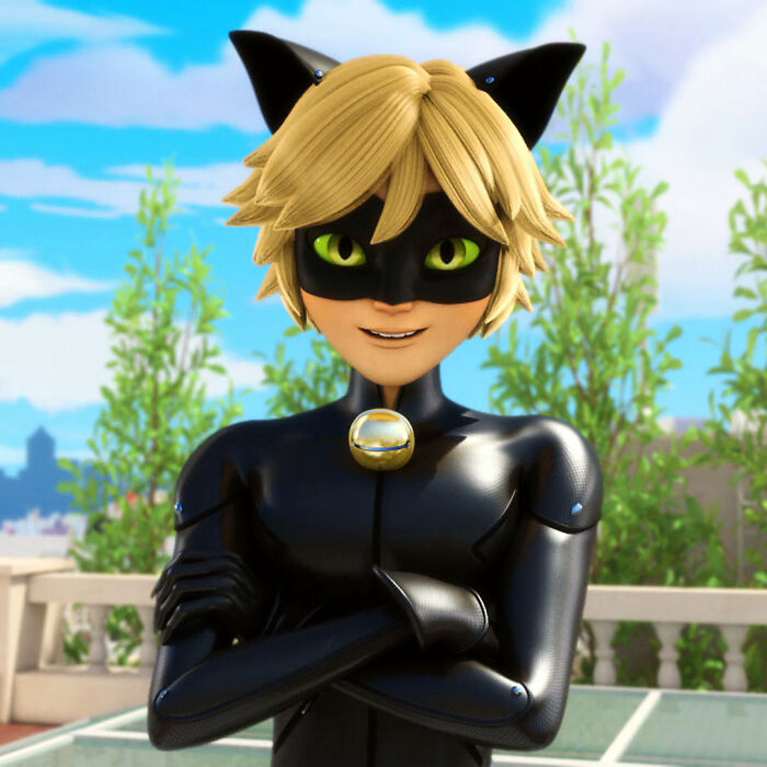 Cat Noir For Some Reason