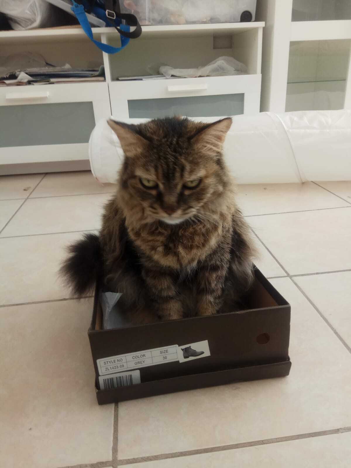 Beware Of Ferocious Animals!