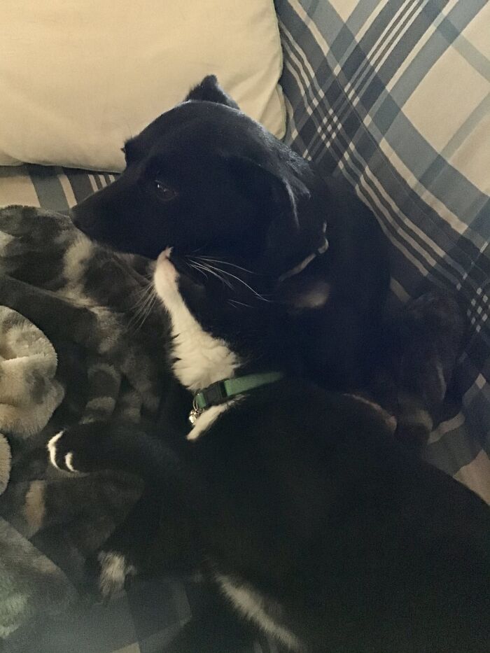 Arlie Trying To Bond With Maddie