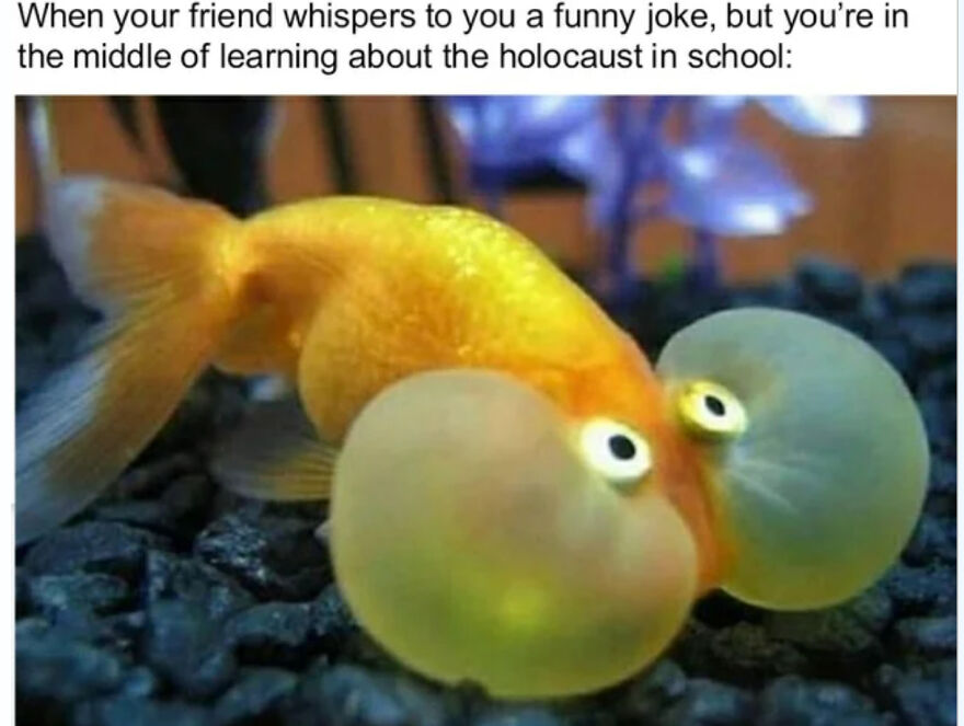 Inappropriate I Know (-_-)/