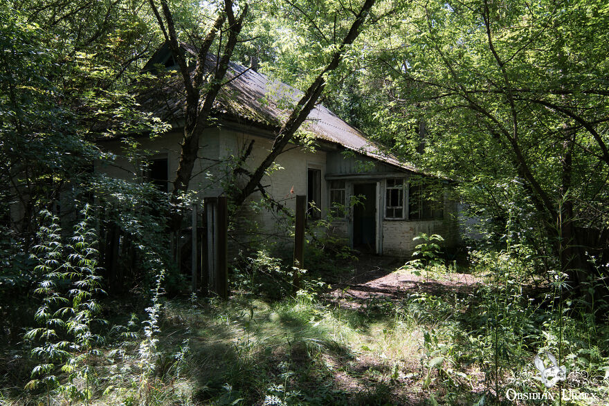 One Of Many Abandoned Villages, Now Swallowed By The Forest