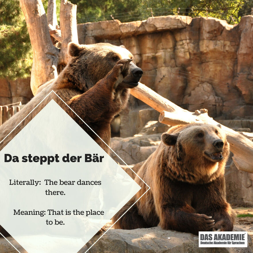 Da Steppt Der Bär