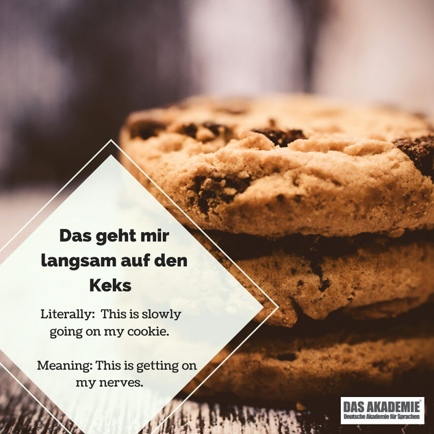 Das Geht Mir Langsam Auf Den Keks