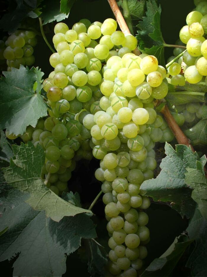 Designers Are Challenged To Place Ads, Logos Or Stores In The Most Unexpected Areas Imaginable