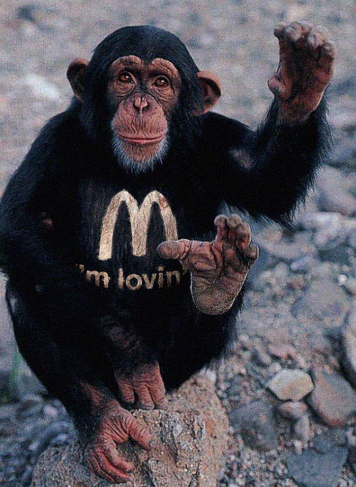 Designers Are Challenged To Place Ads, Logos Or Stores In The Most Unexpected Areas Imaginable