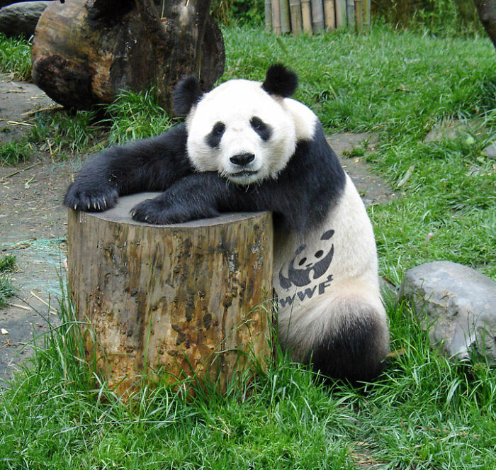 Designers Are Challenged To Place Ads, Logos Or Stores In The Most Unexpected Areas Imaginable