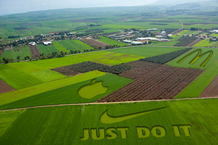 Designers Are Challenged To Place Ads, Logos Or Stores In The Most Unexpected Areas Imaginable