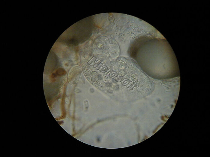 Designers Are Challenged To Place Ads, Logos Or Stores In The Most Unexpected Areas Imaginable