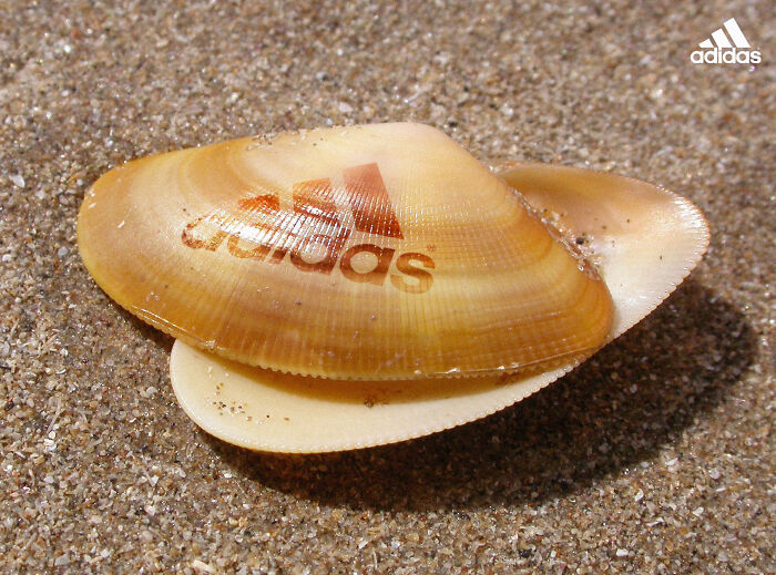 Designers Are Challenged To Place Ads, Logos Or Stores In The Most Unexpected Areas Imaginable