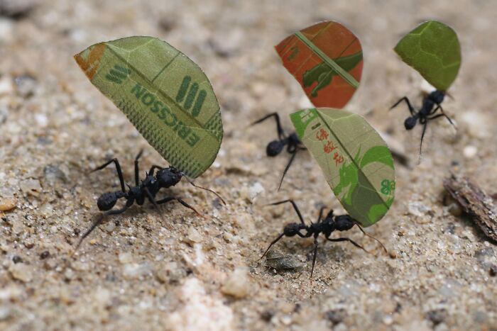 Designers Are Challenged To Place Ads, Logos Or Stores In The Most Unexpected Areas Imaginable