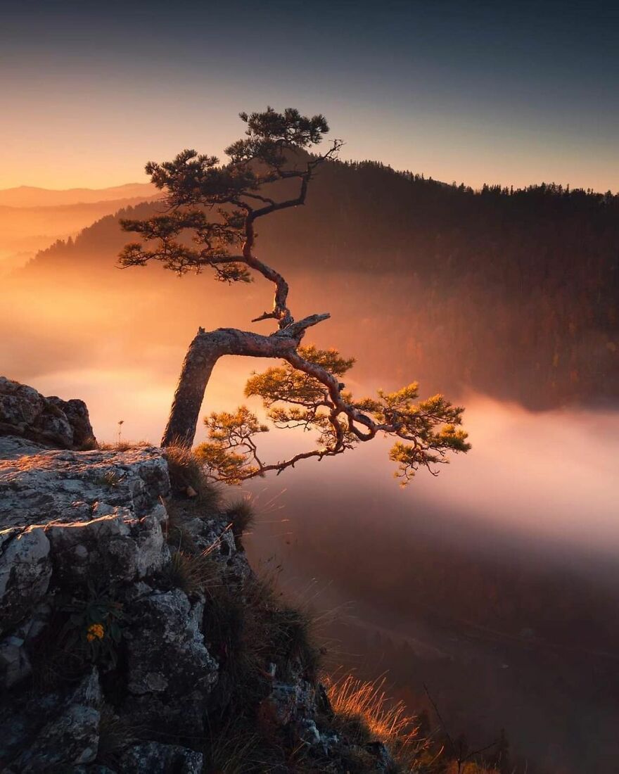 Pieniny National Park