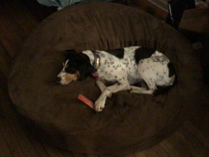 When I Get Tired Of Life