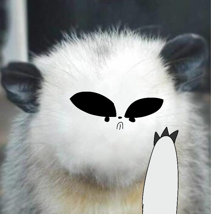 The Two Emotions Of Possum