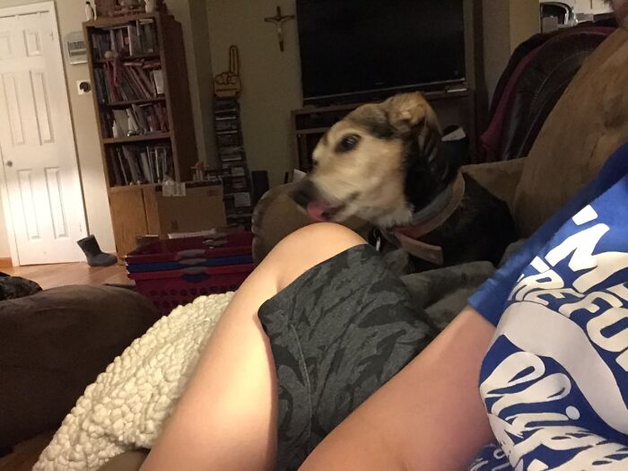 Mid Lick Makes Him Have Giant Jowles Apparently