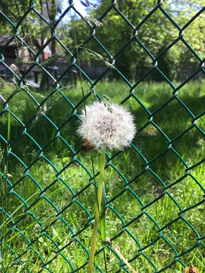 Pictures I Took While Hospitalized With Bipolar Disorder