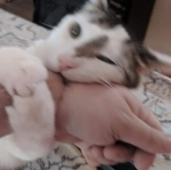 This Is His Happy Face