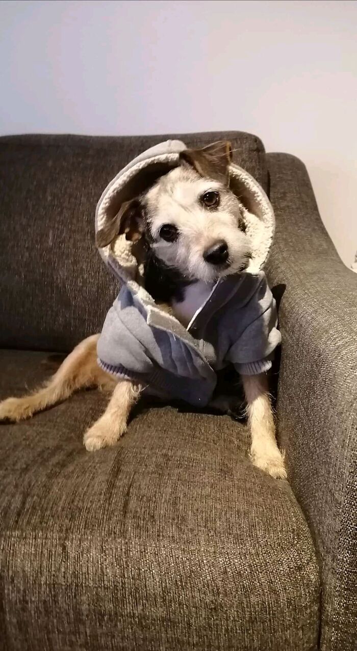 You Don't Say? Tell Me More... Also I Was Told There Would Be Bacon.