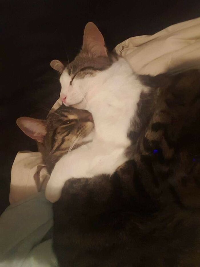 My Boys Billy And Benji