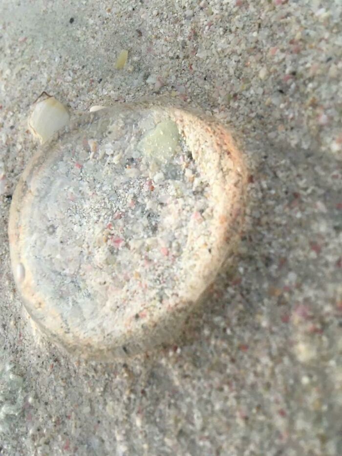 Sand Through A Jellyfish