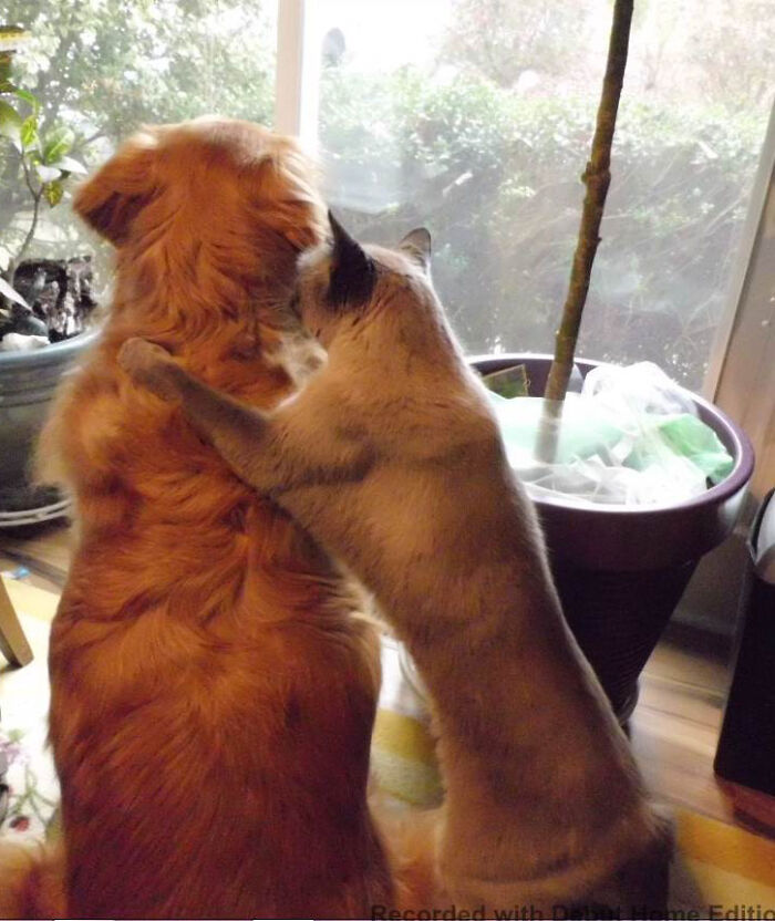 Best Friends For Life, Just Watchin' The Day Go By...