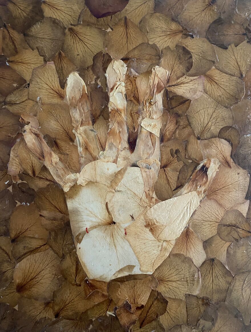 Hand, 2014